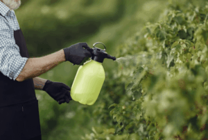 Un signore che con un nebulizzatore spruzza un prodotto contro l'infestazione di insetti