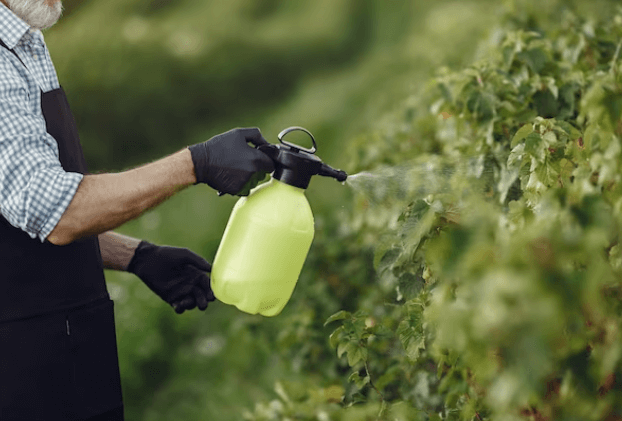 Un signore che con un nebulizzatore spruzza un prodotto contro l'infestazione di insetti