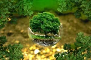 ambiente ecologico