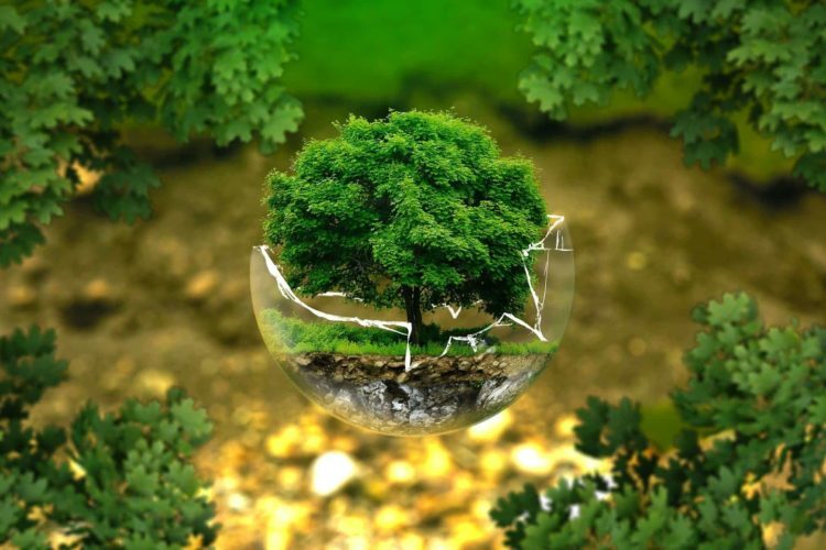 ambiente ecologico